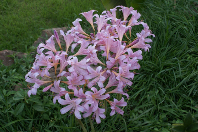 �̹����� Ŭ���ϸ� ������ ���� �� �ֽ��ϴ�.