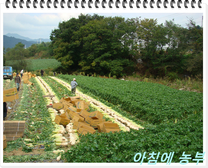 엄나무농원 이미지