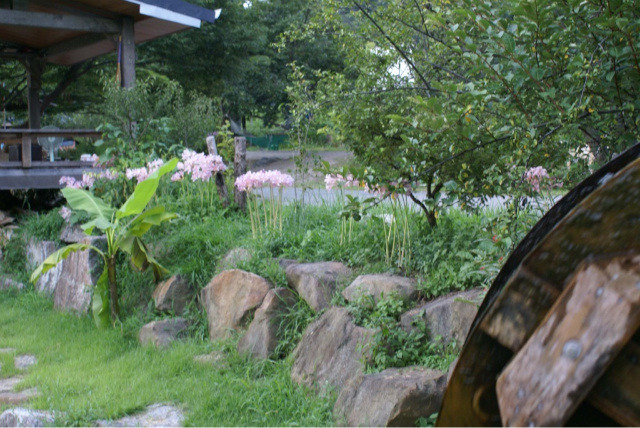 �̹����� Ŭ���ϸ� ������ ���� �� �ֽ��ϴ�.