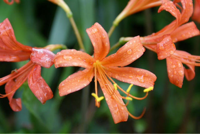 �̹����� Ŭ���ϸ� ������ ���� �� �ֽ��ϴ�.