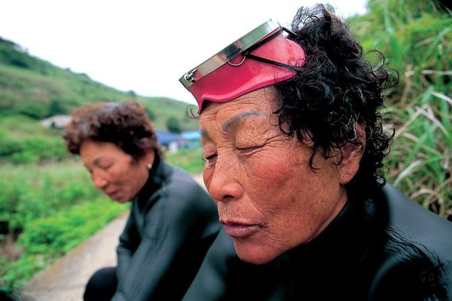 죽담집 이미지