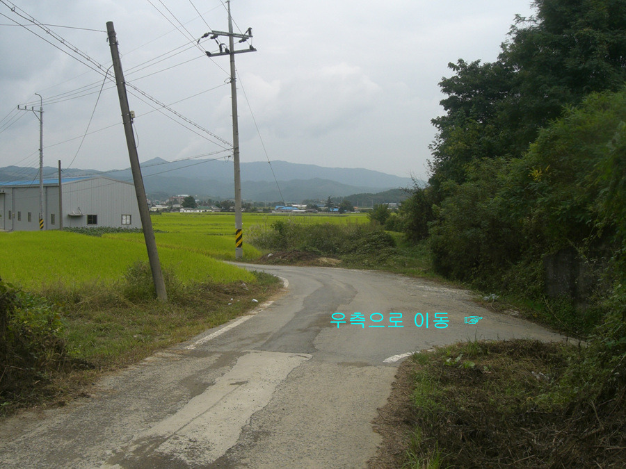 서오리 이미지