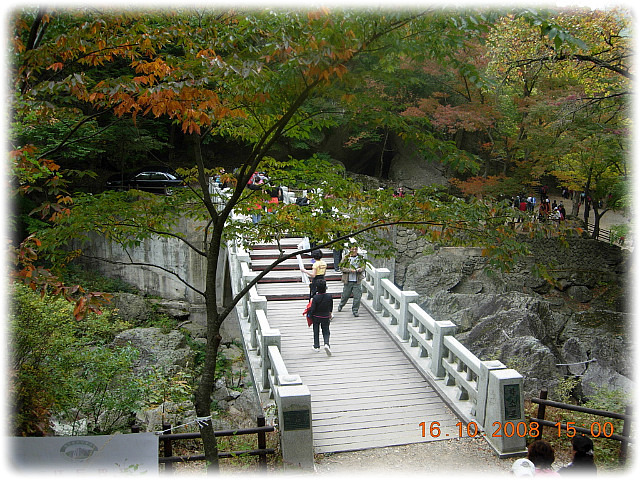 (주)정다운 여행 이미지