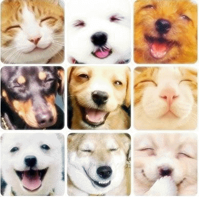 세명복권 이미지