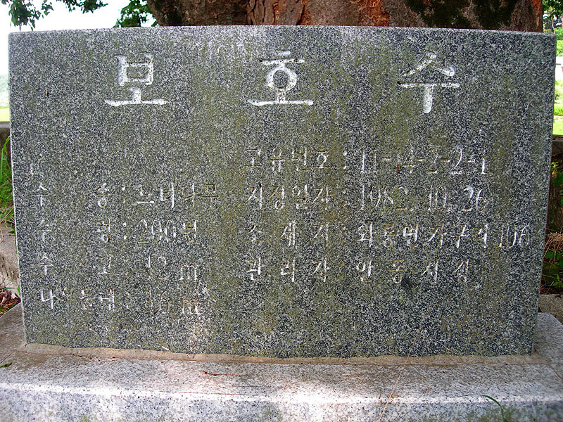 길우 이미지