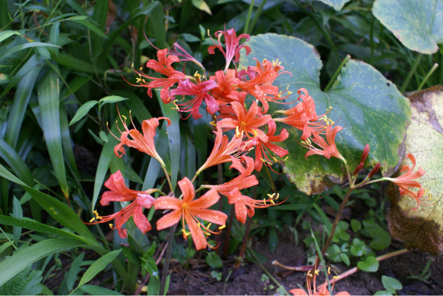 �̹����� Ŭ���ϸ� ������ ���� �� �ֽ��ϴ�.