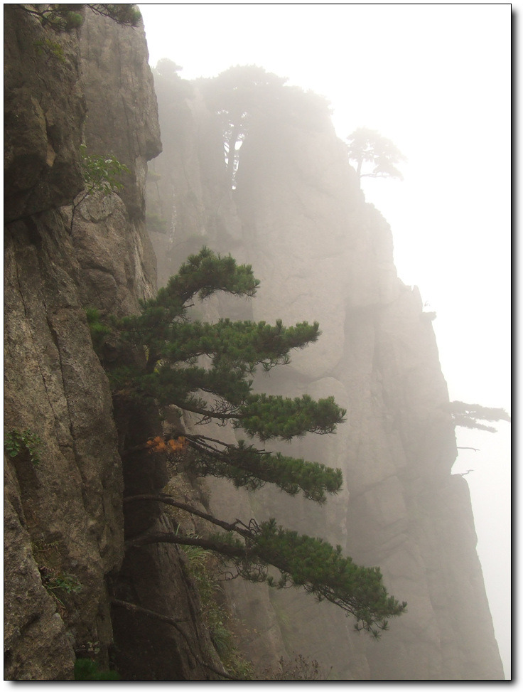 서해 산장 이미지