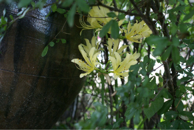 �̹����� Ŭ���ϸ� ������ ���� �� �ֽ��ϴ�.