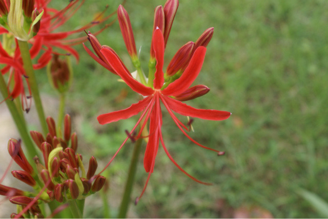 �̹����� Ŭ���ϸ� ������ ���� �� �ֽ��ϴ�.