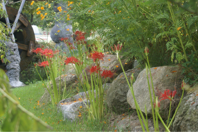 �̹����� Ŭ���ϸ� ������ ���� �� �ֽ��ϴ�.