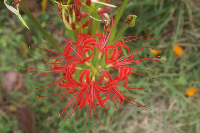 �̹����� Ŭ���ϸ� ������ ���� �� �ֽ��ϴ�.