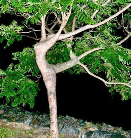 다복해 이미지
