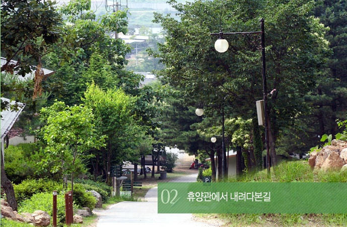 청평자연휴양림 이미지