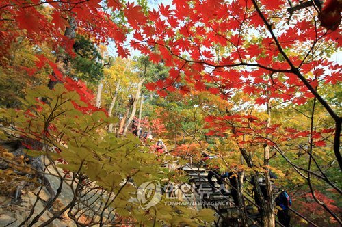 (주)여행담 이미지