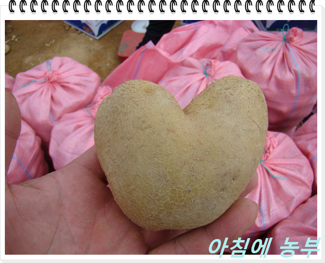 엄나무농원 이미지